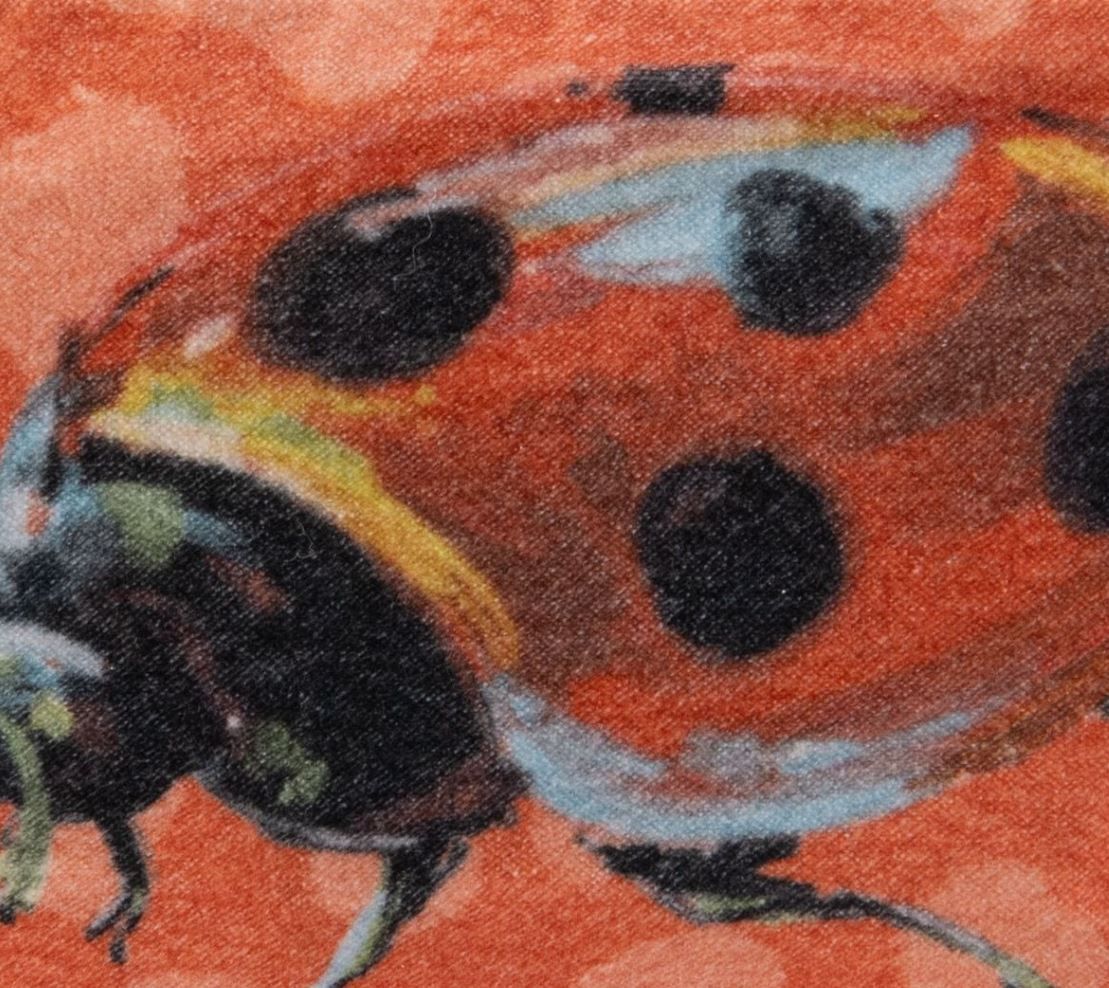 Samttasche Ladybird
