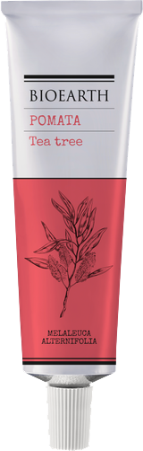 Teebaumöl Salbe Bioearth Teebaumöl Salbe ohne Hintergrund